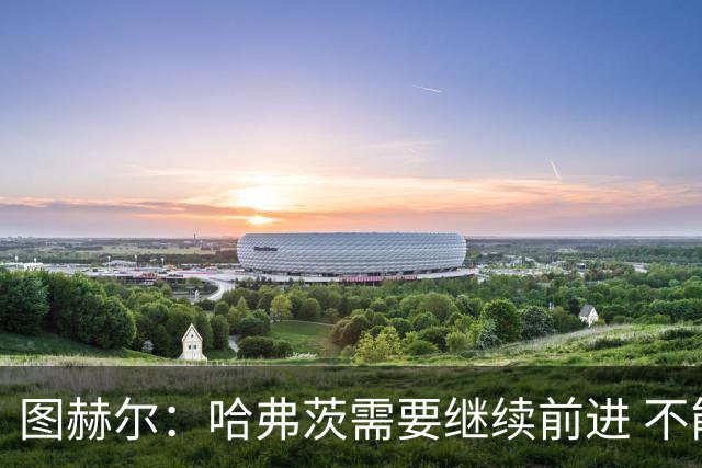 图赫尔：哈弗茨需要继续前进 不能过度使用詹姆斯