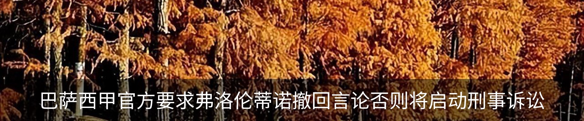 新闻动态