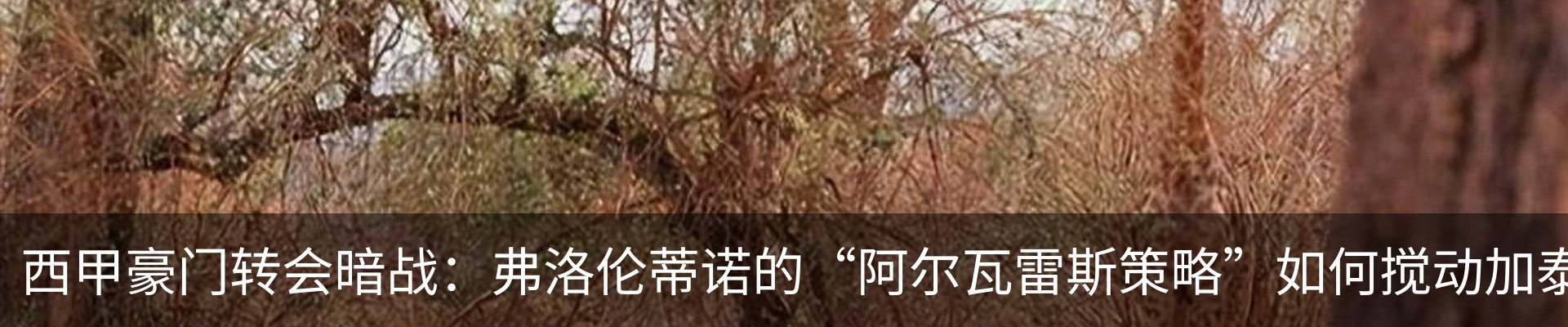 新闻动态