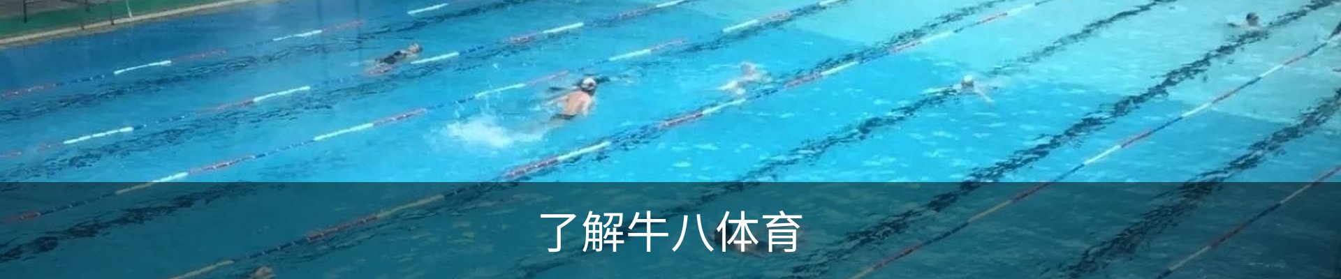了解牛八体育